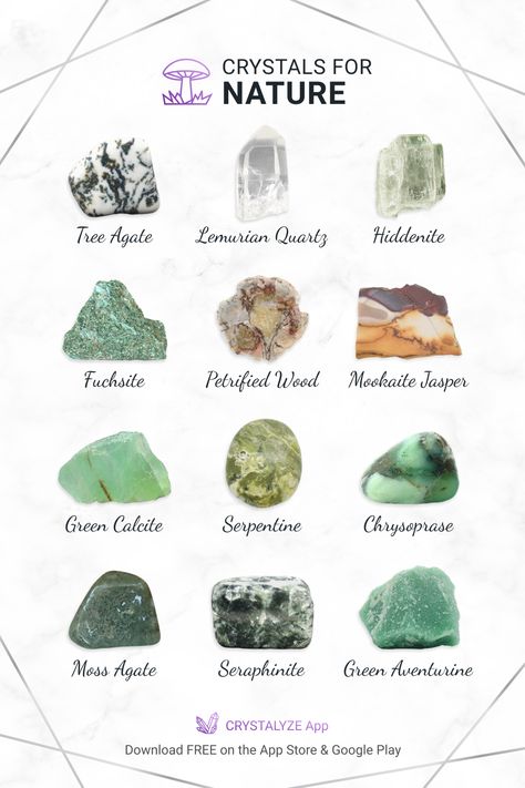 Witch Board, Connecting With Nature, Grounding Crystals, Moss Agate Crystal, Forest Witch, Grimoire Book, Green Moss Agate, Tree Agate, Crystals Stones