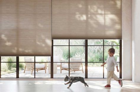 Minimalist Design & Modern Window Coverings - Window Fashions of Texas Large Window Coverings, Modern Window Coverings, Exterior Shades, Cellular Blinds, Custom Shutters, Custom Roman Shades, Aluminum Blinds, Solar Shades, Modern Window