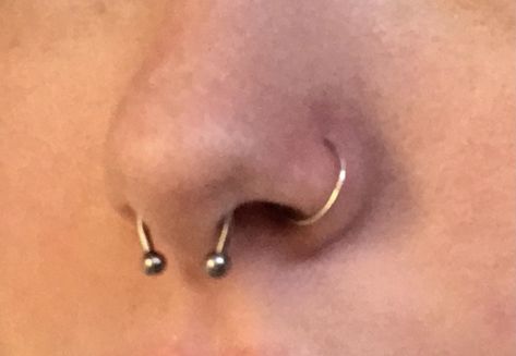 Nostril Piercing Jewelry Hoop, Septum Piercing And Nose Ring, Nostril And Septum Piercing Together, Multiple Nose Piercings, Septum And Nostril Piercing, Septum Piercing Hoop, Double Nose Piercing, Septum Hoop, Nose Piercing Hoop