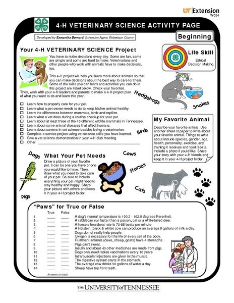 4-H Veterinary Science Activity Page- Life Skill Worksheet Agriculture Education Classroom, Veterinarian School, Vet Science, True Or False Questions, 4h Ideas, 6th Grade Worksheets, Science Camp, Veterinary Science, Science Activity