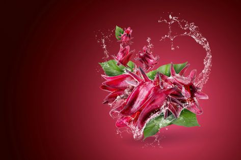 Water splashing on roselle hibiscus sabd... | Premium Photo #Freepik #photo #background Blurry Background Photography, Roselle Juice, Roselle Flower, Roselle Hibiscus, Hibiscus Drink, Creative Photography Logo, Hibiscus Sabdariffa, Water Splashing, Certificate Background