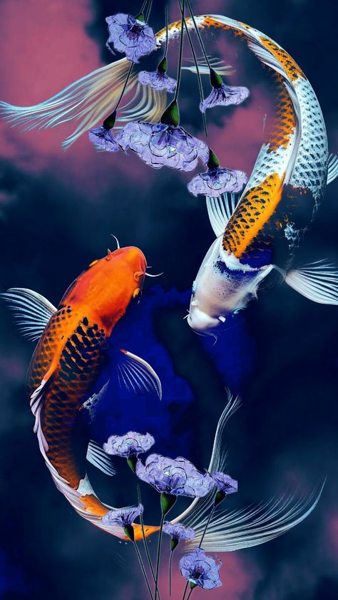 #koifish #koi #aestehthic #flower Koi Fish, Koi, Flowers