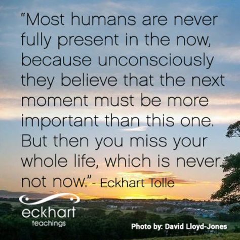 “Most humans are never fully present in the now, because unconsciously they believe that the next moment must be more important than this one. But then you miss your whole life, which is never not now.” ~Eckhart Tolle Forgiving People, Ekhart Tolle, Eckart Tolle, Eckhart Tolle Quotes, Power Of Now, Peaceful Place, Be Here Now, The Present Moment, Eckhart Tolle