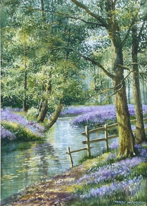 Secret Bluebell Wood 12 x 18 inches Watercolour onSecret Bluebell Wood 12 x 18 inches Watercolour on Terry Harrison Terry Harrison, Scenery Paintings, 수채화 그림, Landscape Drawings, Amazing Art Painting, By Terry, Pictures To Paint, Oil Painting Landscape, Tree Painting