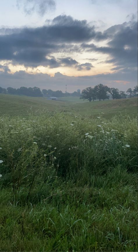 Dewy Morning Aesthetic, Dewy Aesthetic, Spring Morning Aesthetic, Meadow Aesthetic, Dewy Morning, Meadow Background, Environment References, Cloud Photography, Lily Grace