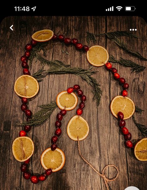 Diy Orange And Cranberry Garland, Homemade Orange Garland Christmas, Dried Oranges And Cranberry Garland, Dried Orange Garland Fireplace, Diy Orange Garland Christmas, Orange Cranberry Garland Christmas, Christmas Tree Orange Garland, Cranberry And Orange Garland, Orange Cinnamon Garland