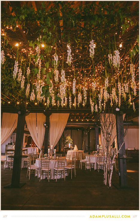 Vines Hanging From Ceiling Wedding, Flowers From The Ceiling Wedding, Hanging Vines Wedding Decor, Hanging Flowers And Lights Wedding, Hanging Flower Decorations Wedding, Flowers On Ceiling Wedding, Overhead Flowers Wedding, Hanging Flowers Dance Floor, Roof Decoration Ideas For Wedding