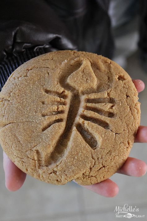 Indiana Jones Party Fossil Cookies, Indiana Jones Birthday Party, Egyptian Themed Party, Indiana Jones Party, Games Preschool, Father's Day Party, Egyptian Party, Reptile Party, Super Party