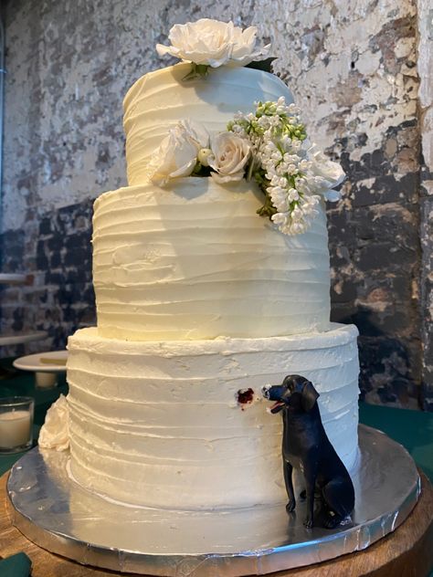 Dog Eating Cake Wedding, Small Wedding Cake With Dog, Wedding Cakes Dog, Groom Cakes, Lake House Wedding, Wedding Extras, Small Wedding Cakes, Groom Cake, Cat Wedding