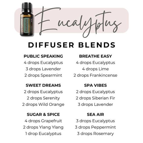 Eucalyptus Oil Blends, Doterra Diffuser, Dreams Spa, Doterra Diffuser Blends, Ayurvedic Healing, Essential Oil Mixes, Wild Orange, Essential Oil Diffuser Blends, Oil Mix