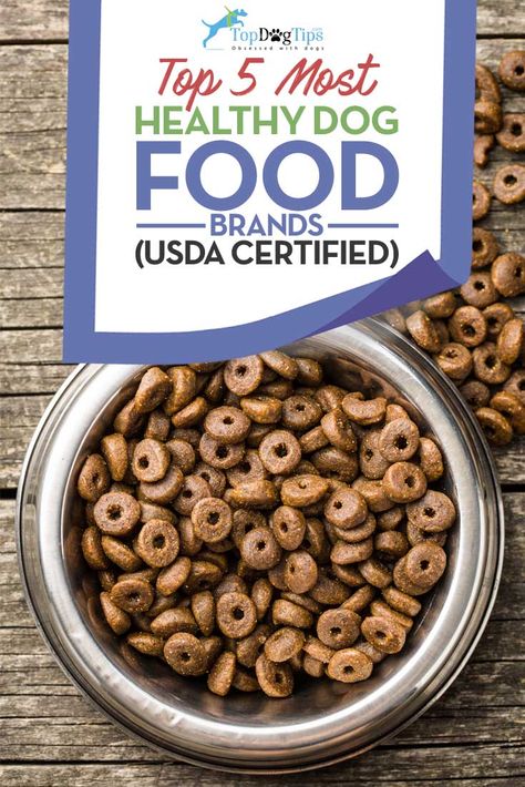 ingredients Healthy Dog Food, Best Dog Food Brands, Organic Dog Food, Puppy Tips, Benefits Of Organic Food, Puppy Time, Genetically Modified Food, Dog Foods, Cheap Healthy