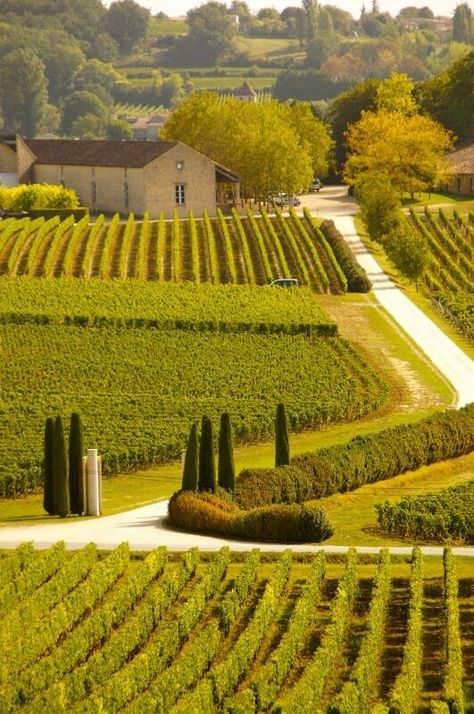 Bordeaux, France...beautiful wine country ✿⊱╮To learn more about #Bordeaux, click here: http://www.greatwinecapitals.com/capitals/bordeaux Toscana Italia, St Emilion, Bordeaux France, French Countryside, Aquitaine, France Travel, Wine Country, Places Around The World, Wonderful Places