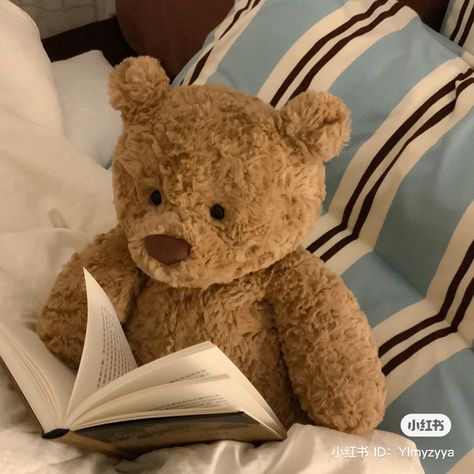 Jelly Cats Bartholomew, Teddy Bear Jellycat, Jellycat Teddy Bear, Jelly Cat Icon, Stuffed Bear Aesthetic, Brown Teddy Bear Aesthetic, Jelly Cats Aesthetic, Jellycat Bear, Bear Jellycat