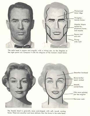 Anatomy Head, Male Vs Female, Face Structure, Female Face Drawing, Face Anatomy, 얼굴 드로잉, Face Illustration, Face Sketch, Anatomy Drawing