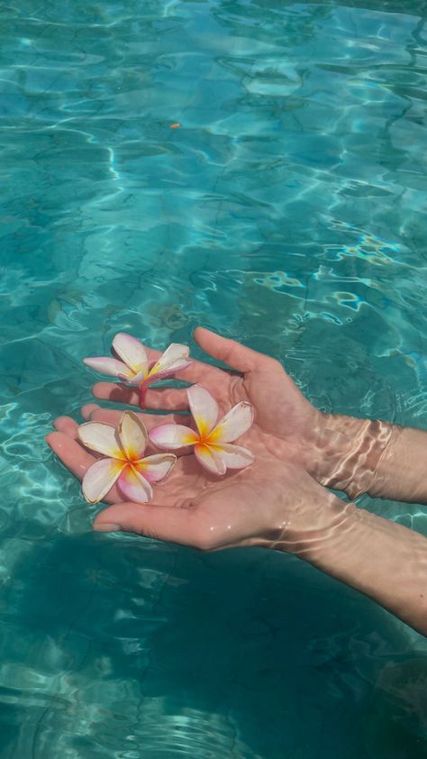 #leiflower #lei #plumeria #pool #photoideas #vacation #bali #indonesia #aesthetic Plumeria Wallpaper Aesthetic, Palau Aesthetic, Bali Aesthetic Wallpaper, Lei Aesthetic, Polynesia Aesthetic, Plumeria Flowers Aesthetic, Plumeria Aesthetic, Bali Wallpaper, Bali Pool