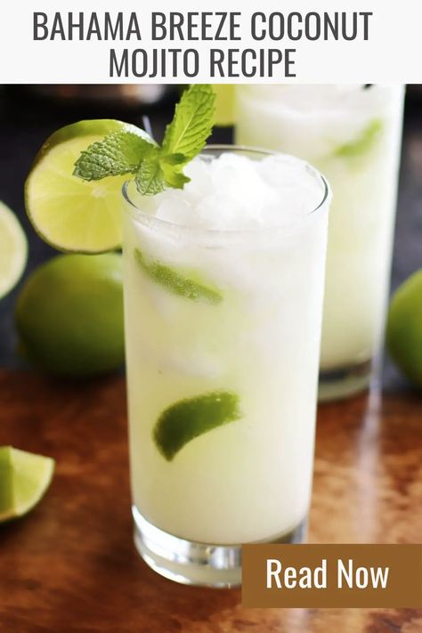 Looking for a refreshing summer cocktail? Try this Bahama Breeze coconut mojito recipe! A delicious combination of flavors in one easy-to-make cocktail. Coconut Mojito Recipe, Easy Mojito Recipe, Coconut Mojito, Easy To Make Cocktails, Bahama Breeze, Refreshing Summer Cocktails, Kitchen Guide, Homemade Cocktails, Mojito Recipe