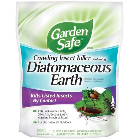 Stink Bugs, Plant Pests, Garden Pest Control, Insect Control, Better Homes And Garden, Diatomaceous Earth, Bed Bugs, Garden Pests, Insect Repellent