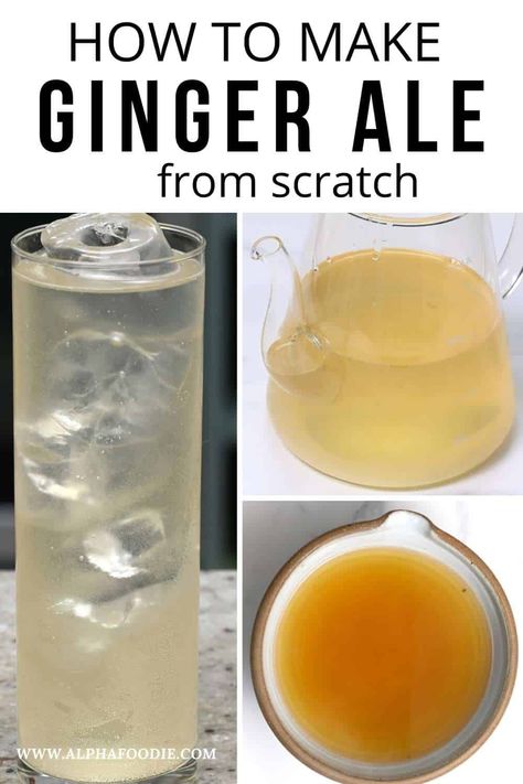 Gingerale Recipes, Diy Ginger Ale, Cranberry Ginger Ale, Ginger Ale Recipe, Homemade Ginger Ale, Ginger Recipe, Ginger Bug, Ale Recipe, Kombucha Recipe