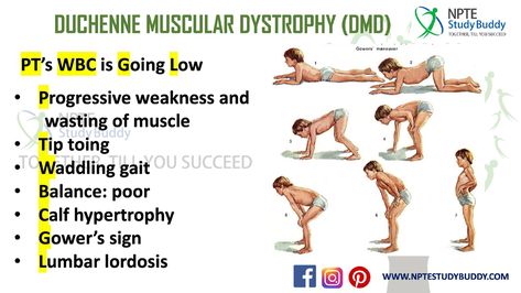 Ped Nurse, Pharmacy School Study, Nbcot Exam, Pta Board, Ipad Pro Notes, Pt School, Duchenne Muscular Dystrophy, Physical Therapy Assistant, Science Board