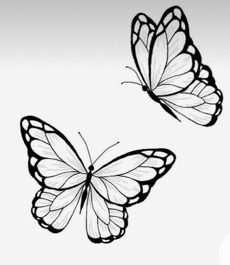 Different Butterfly Tattoo Stencil, Blue Morpho Butterfly Tattoo Black And White, Drawing On Wrist, Black And Grey Butterfly Tattoo, A Butterfly Drawing, Butterfly Tattoo Outline, Butterfly Drawing Outline, Tattoo Papillon, Easy Butterfly Drawing