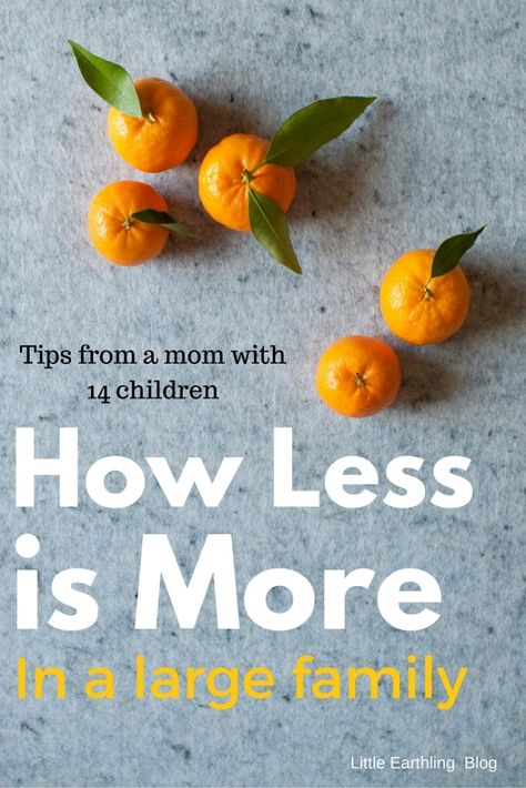 How Less is More in a Large Family Large Families, Large Family Tips, Large Family Organization, Large Families Living, Kitchen Necessities, Family Of 4, Blended Family, Multiplication For Kids, Large Family