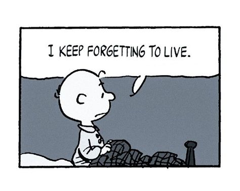 Charlie Brown August Vibes, August Quotes, Charlie Brown Quotes, Extracurricular Activities, Snoopy Quotes, Charlie Brown And Snoopy, Calvin And Hobbes, Pretty Words, Pretty Quotes