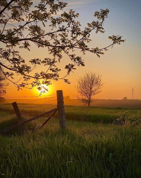 Iowa Summer Aesthetic, Tal Bauer, Iowa Wallpaper, Iowa Aesthetic, Bday Collage, Iowa State Aesthetic, Oklahoma Homes, Iowa City Aesthetic, Iowa Corn Fields