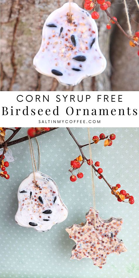 Christmas Bird Seed Craft, Bird Seed Crafts For Kids Easy Diy, Bird Feed Christmas Ornaments, Bird Seed Gift Ideas, Diy Birdseed Feeder, Bird Seed Wreaths, How To Make Birdseed Ornaments, Diy Birdseed Wreath, Birdseed Crafts For Kids