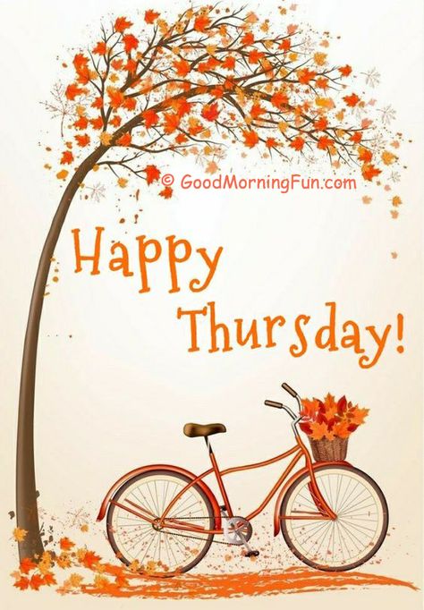 Happy Thursday - Tree with Bicycle Thursday Morning Quotes, Good Morning Thursday Images, Happy Thursday Images, Hello Thursday, Thursday Greetings, Thursday Images, Happy Thursday Quotes, Good Morning Thursday, Good Morning Wednesday