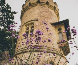 Grunge Flowers, Fairytale Aesthetic, Castle Aesthetic, Disney Princess Modern, Princess Rapunzel, Tangled Rapunzel, Royal Life, Modern Disney, Disney Aesthetic