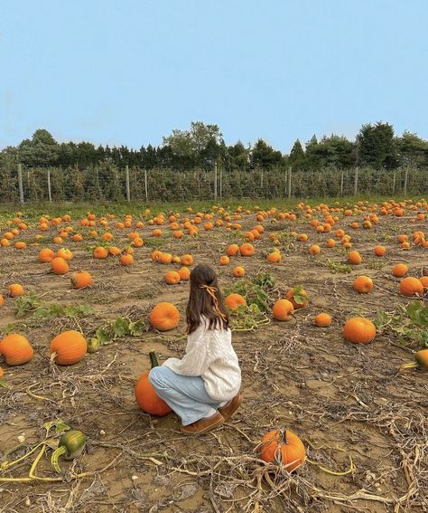 Aesthetic pumpkin patch pics Pumpkin Picking Pictures, Pumpkin Patch Pics, Pumpkin Patch Photoshoot, Pumpkin Patch Pictures, Fall Photo Shoot Outfits, Autumn Instagram, Fall Dates, Pumpkin Photos, Pumpkin Patch Outfit