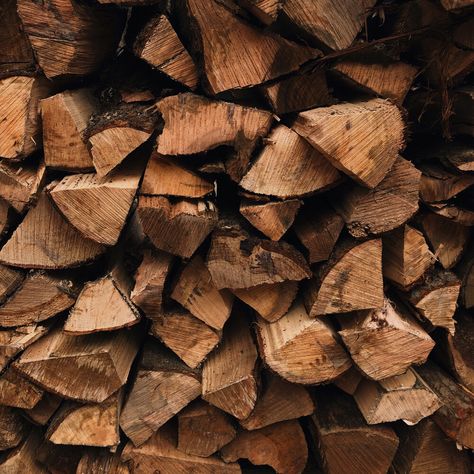 Fall Homestead Aesthetic, Fall Aesthetic Moodboard, November Aesthetic Month, Homesteading Aesthetic, Richard Winters, Homestead Aesthetic, Wood Piles, Calico And Twine, Chicken Aesthetic