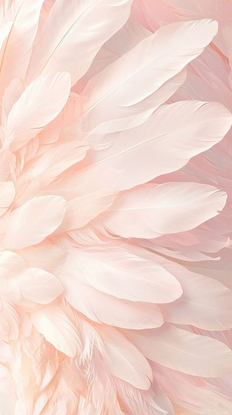 Feathers wallpaper flamingo blossom dahlia. | free image by rawpixel.com Flamingo Wallpaper Iphone, Feather Aesthetic, Pink Atmosphere, Flamingo Background, Feathers Wallpaper, Light Palette, Coquette Wallpaper, Pink Mobile, Oc Reference