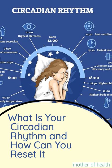 Discover how to master your body's natural rhythm with our fun and easy tips! 😴 Learn how to reset your Circadian Rhythm, improve your sleep schedule, and boost your health ✨ Click to take a look at how it works, how it gets out of whack, and how you can stay in rhythm. When To Plant Vegetables, Sleep Therapy, A Better You, Mindfulness For Kids, Health Board, Sleep Schedule, Environmental Factors, Circadian Rhythm, Natural Sleep