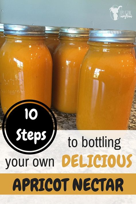 Delicious Apricot Nectar you can enjoy all year round! 10 easy steps! Apricot Syrup Recipe, Canning Apricots, Canned Apricots, Apricot Nectar, Apricot Recipes, Canning Fruit, Apricot Fruit, Canned Food Storage, Syrup Recipe