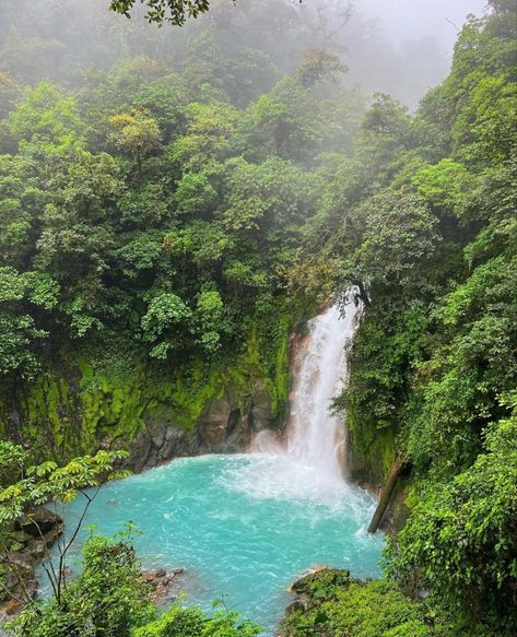 Costa Rica Hiking, Rio Celeste Costa Rica, Travel Vacation, Photography Nature, Vacation Destinations, Summer Vacation, Costa Rica, South America, Landscape Photography