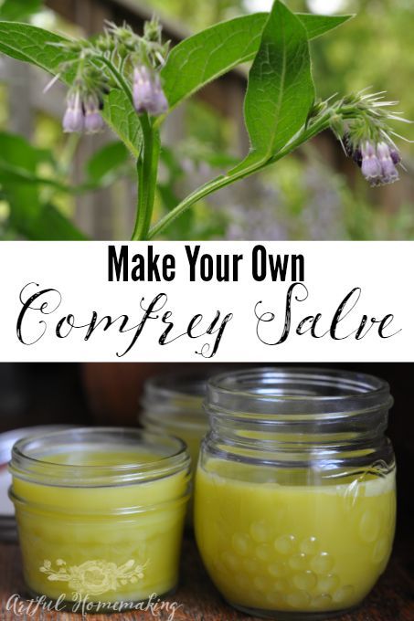 Comfrey Salve Recipe, Comfrey Oil, Comfrey Plant, Comfrey Salve, Homemade Salve, Salve Recipes, Herbal Salves, Healing Salves, Herbal Recipes