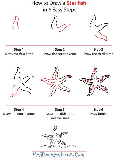 Starfish Drawing, Draw Head, Drawn Fish, Drawing Lessons For Kids, Fish Drawings, Drawing Lessons, Step By Step Drawing, Teaching Art, Learn To Draw