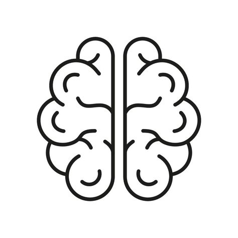 Brain Outline, Human Brain Anatomy, Brain Vector, Brain Anatomy, Human Brain, Neurology, Line Icon, Top View, Anatomy