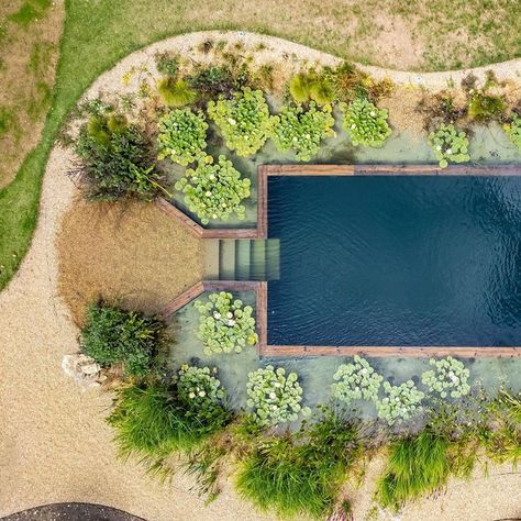 Bio Pool, Swimming Pool Pond, Living Pool, Natural Swimming Ponds, Pool Landscape Design, Swimming Pond, Natural Pond, Natural Swimming Pools, Smart Garden