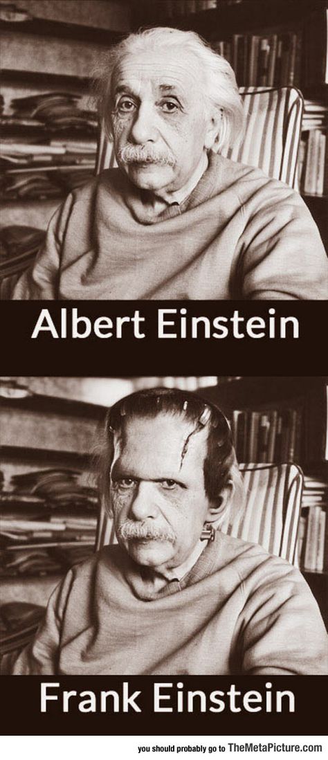 She Who Seeks Science Humor, Memes Humor, Nerd Alert, Albert Einstein, You Funny, Frankenstein, Bones Funny, Halloween Funny, Funny Photos