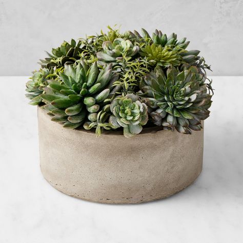 Jeff Leatham Real Touch Faux Succulents in Round Pot, 7" | Williams Sonoma Jeff Leatham, Fiddle Leaf Tree, Hotels Around The World, Fiddle Leaf Fig Tree, Kids Pottery, Celebrity Homes, Fiddle Leaf, Metal Planters, Fiddle Leaf Fig