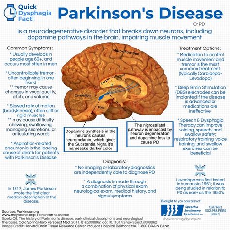 Dysphagia Quick Facts Parkinson's Disease | Parkinsons disease awareness, Parkinsons awareness, Disease awareness Parkinsons Awareness Month, Parkinsons Awareness, Deep Brain Stimulation, Alzheimer Care, Nurse Study Notes, Nursing School Studying, Medical Facts, Medical School Studying, Autoimmune Disorder