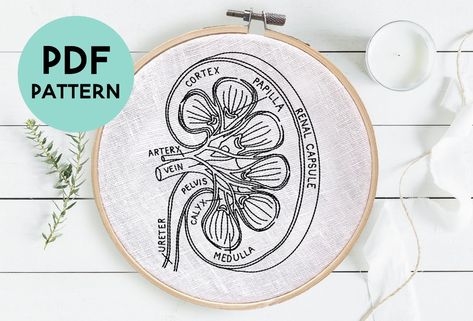 DIY Kidney Embroidery Pattern: Learn to embroider a kidney with this easy-to-follow tutorial. Perfect for medical students, nurses, or anyone who loves anatomy! #kidneyembroidery #medicalgift . #Tela #Kidney_Embroidery #Embroidery_Anatomy #Anatomical_Embroidery Kidney Embroidery, Anatomical Embroidery, Medical Embroidery, Anatomy Embroidery, Kidney Anatomy, Learning To Embroider, Medical Gifts, Medical Art, Embroidery Motifs