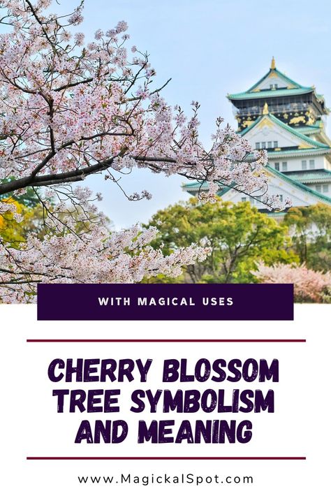 Cherry Blossom Symbolism, Cherry Blossom Meaning, Tree Symbolism, Cherry Blossom Bedroom, Tree Meanings, Cherry Blossom Tree Tattoo, Blossom Tree Tattoo, Japanese Cherry Blossoms, Cherry Blooms