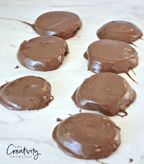 Caramel Apple Slices, Covered Apples, Chocolate Covered Apples, Caramel Apple, Apple Slices, Caramel Apples, Chocolate Covered, Chocolate Recipes, Chocolate Cookie