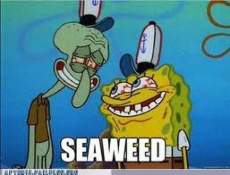 oh spongebob... Spongebob And Patrick, Cartoon Characters, Memes, Funny