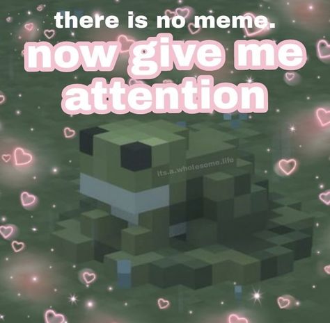 Wholesome Comfort Pics, Give Me Attention Wholesome, Give Me Attention Cute, I Want Attention Reaction Pic, I Need Attention Reaction Pic, Attention Reaction Pic, Give Me Attention Reaction Pic, Gimme Attention, Minecraft Couple