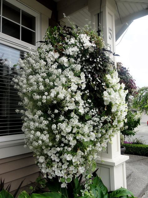 Beautiful 14" Cookies and Cream Moss Basket (White and Black Colour Scheme) Huge Cookies, Moss Basket, Mosses Basket, Garden Gate Design, Flower Containers, Courtyard Gardens, Flower Hanging, Courtyard Gardens Design, Flower Baskets