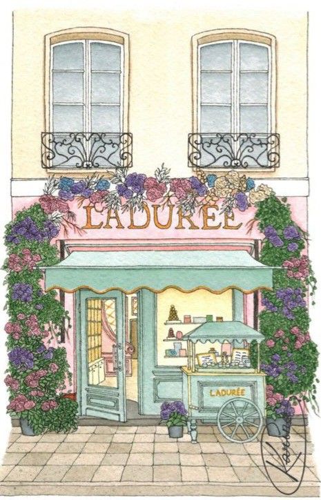 Shop Front Painting, Paris House Drawing, Paris Street Illustration, Cute Flower Shop Drawing, French Buildings Drawing, Flower Boutique Drawing, French Architecture Drawing, Flower Shop Sketch, Shopping Illustration Art